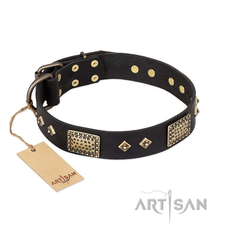 'Jewel Passion' FDT Artisan Fashionable Black Leather Great Dane Dog Collar