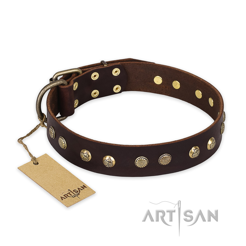'Bronze Sheen' FDT Artisan Great Dane Brown Leather Dog Collar with Old Bronze-Like Plated Studs - 1 1/2 inch (40 mm) wide