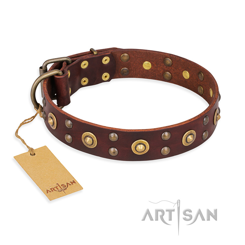 'Caprice of Fashion' FDT Artisan Great Dane Brown Leather Dog Collar with Round Decorations