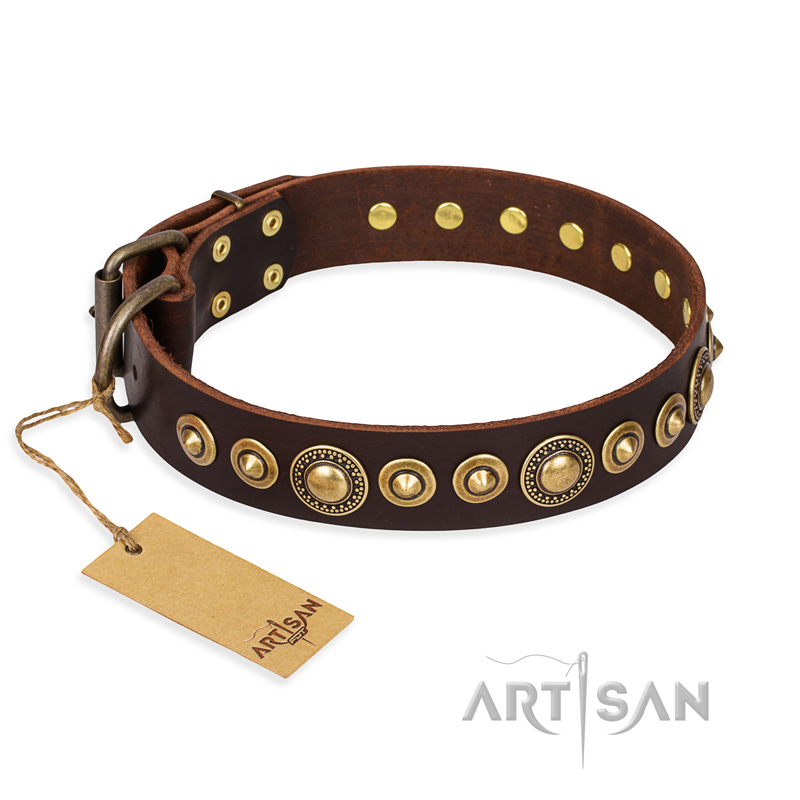 'Ancient Warrior' Great Dane Brown Leather Dog Collar
