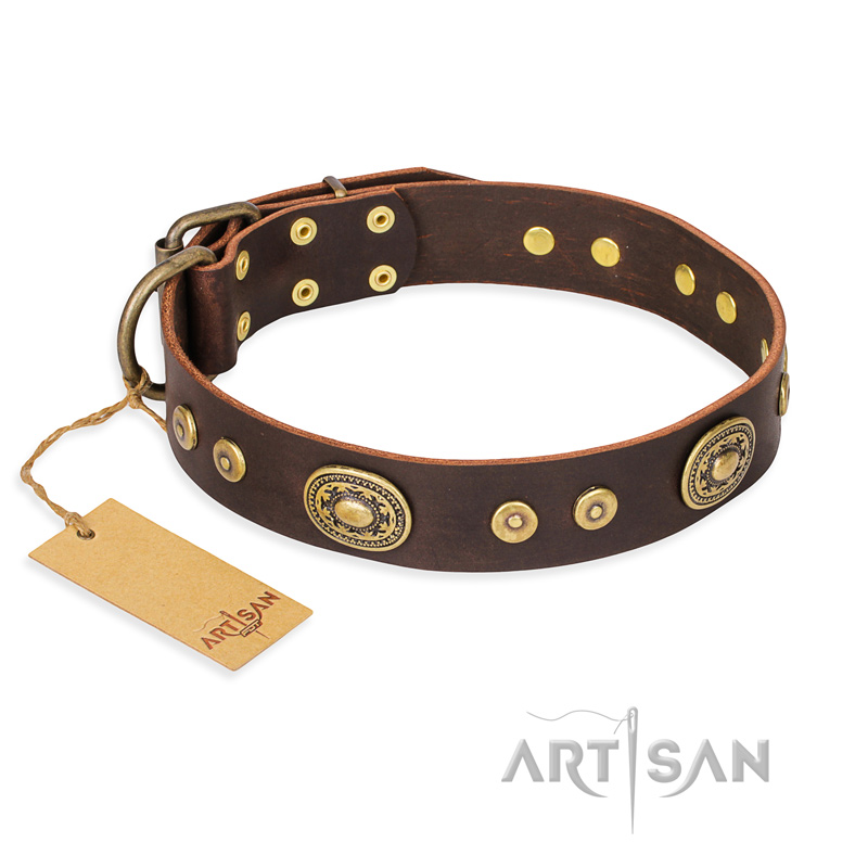 'One-of-a-Kind' FDT Artisan Decorated Brown Leather Dog Collar