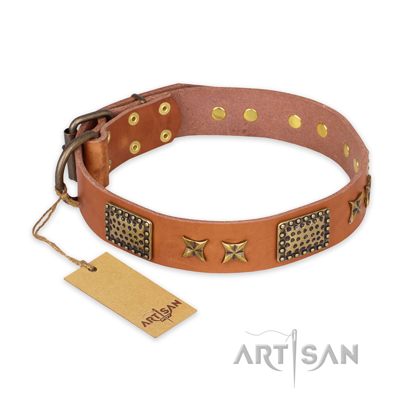'Cosmic Traveller' FDT Artisan Adorned Leather Great Dane Collar with Old Bronze-Plated Stars and Plates - Click Image to Close