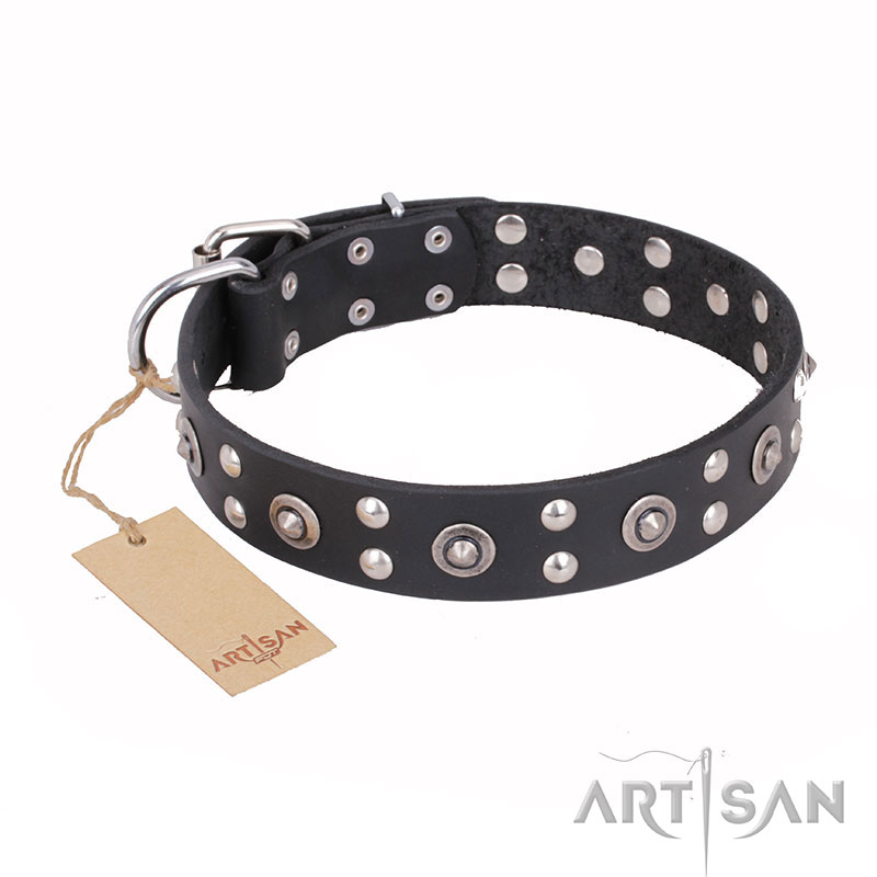 'Refined Essence' FDT Artisan Black Leather Great Dane Dog Collar with Silvery Studs - 1 1/2 inch (40 mm) Wide