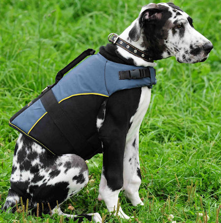 Lightweight Dog Harness with Patches, Nylon Dog Vest