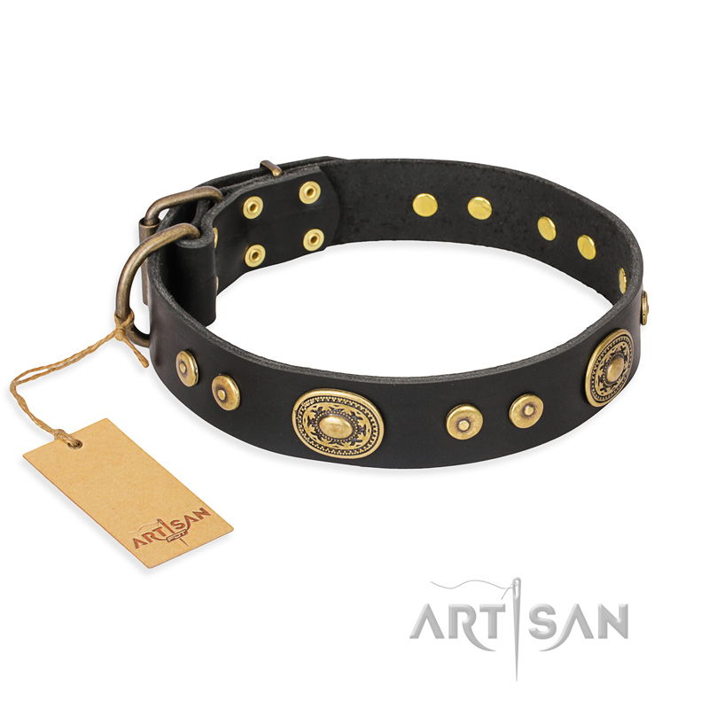 'Golden Radiance' FDT Artisan Black Leather Great Dane Collar with Old Bronze Look Ovals and Circles