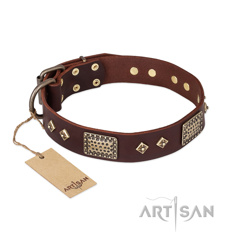 FDT Artisan 'Loving Owner' Decorated Leather Great Dane Dog Collar with Plates and Studs 1 1/2 inch (40 mm)