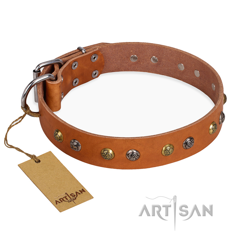 'Golden'n'Silver Luxury' FDT Artisan Leather Great Dane Collar with Engraved Studs