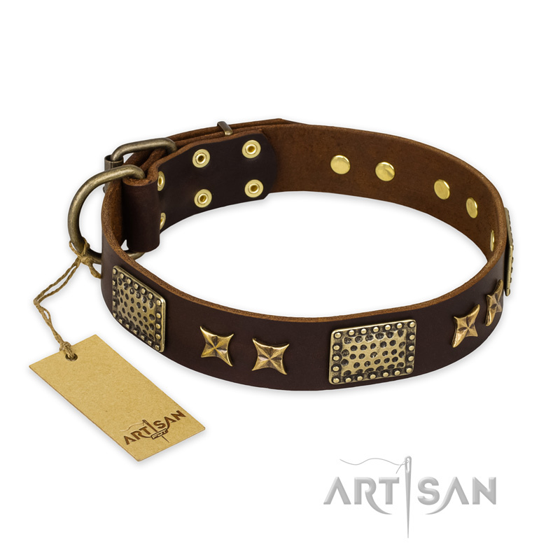"Sparkling Bronze" Decorated FDT Artisan Brown Leather Collar for Great Dane