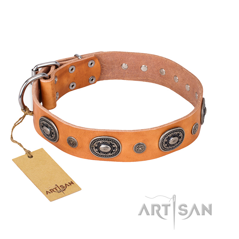 'Twinkle Twinkle' FDT Artisan Incredible Studded Tan Leather Great Dane Collar with Silver-Like Circles