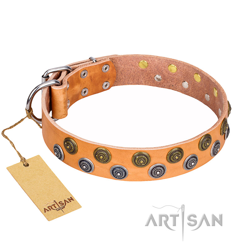 "Precious Sparkle" FDT Artisan Handcrafted Tan Leather Great Dane Collar