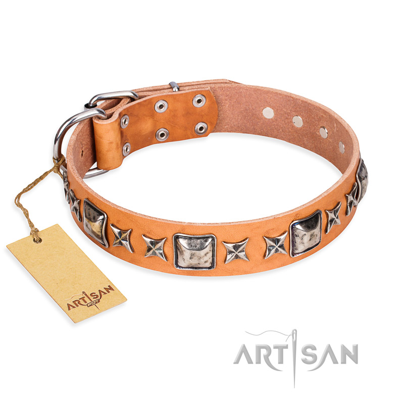 'Silver Chic' FDT Artisan Tan Leather Great Dane Collar with Silvery-plated Decorations