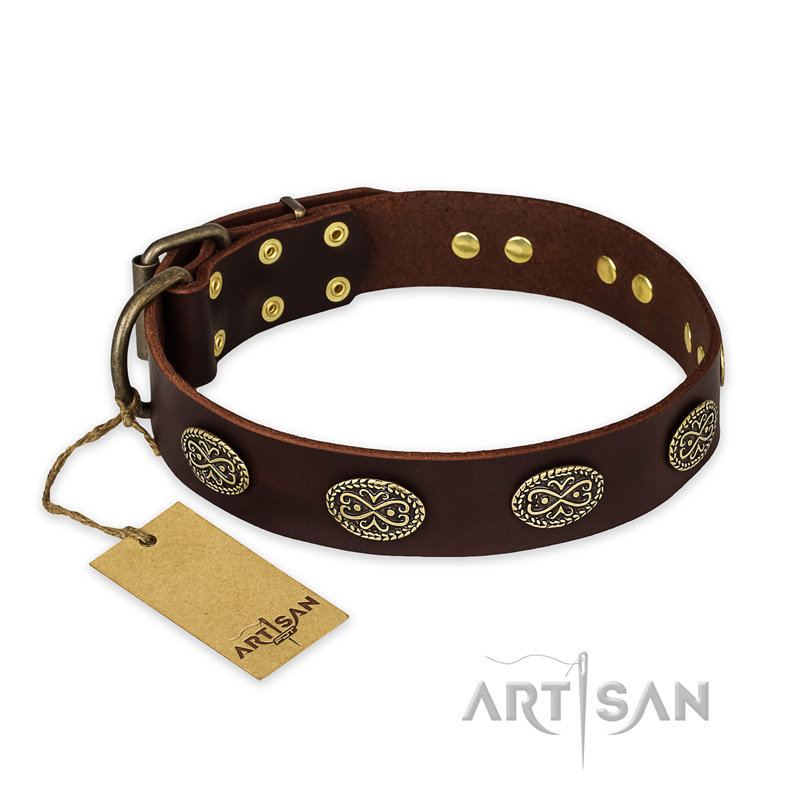 'Chocolate kiss' FDT Artisan Leather Great Dane Collar with Old Bronze Look Oval Plates