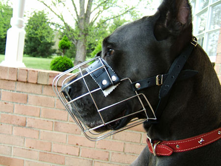Superior Wire Cage Great Dane Muzzle with Padded Nose Area Great