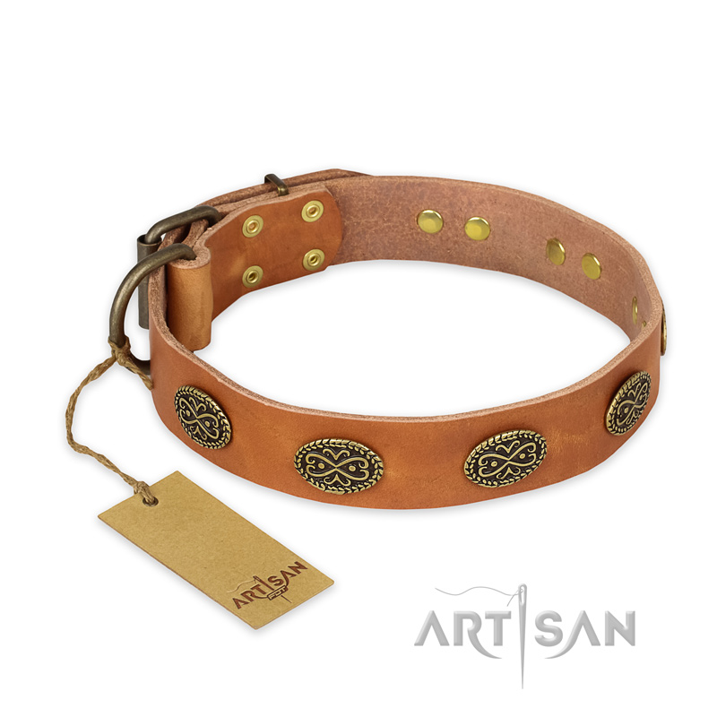 'Magic Amulet' FDT Artisan Tan Leather Great Dane Collar with Oval Studs