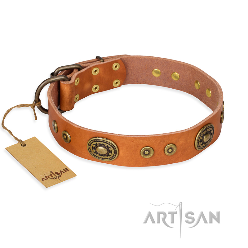 'Dandy Pet' FDT Artisan Decorated Tan Leather Dog Collar for Great Dane Daily Walking