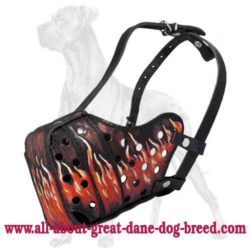 Great Dane Attack Training Leather Canine Muzzle with Easy Adjustable Straps