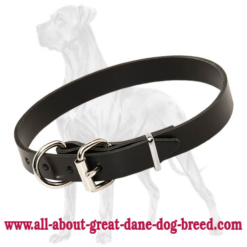 Excellent Classic Leather Collar for Great Dane