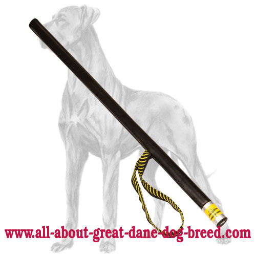 Agitation and Schutzhund Training Plastic Stick for Great Dane