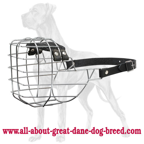 Get Awesome Wire Cage Free Breathe Pet Muzzle for Dog Walking