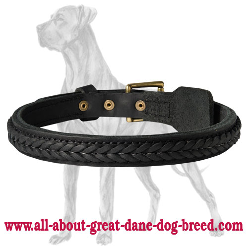 Great Dane Braided Leather Collar | Fur Protection Buckle Plate