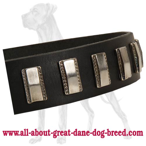 Perfect Leather Collar with Plates for Great Dane