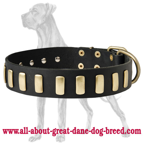 Gorgeous Wide Leather Collar With Plates for Great Dane