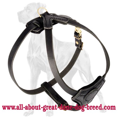 Leather Dog Harness for Great Dane Puppy | Everyday Walking