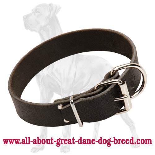 Walking Wide Leather Great Dane Collar - 1.5 inch (3.8cm) Wide