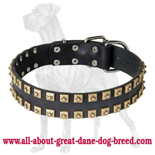 Unique Studded Leather Great Dane Collar