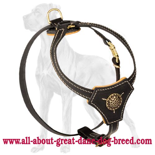 Designer Taining/Walking Leather Dog Harness for Great Dane Puppies