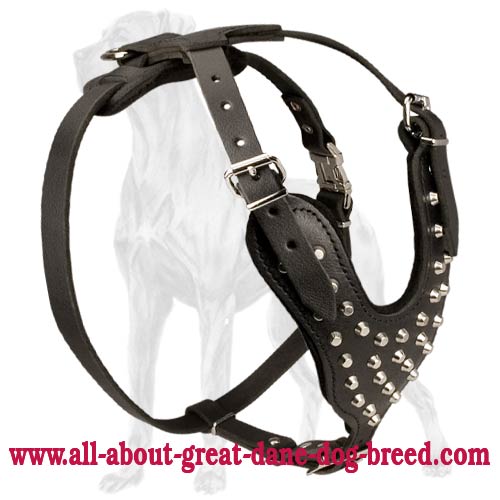 Designer Leather Dog Harness Studded with Pyramids for Great Dane Dog