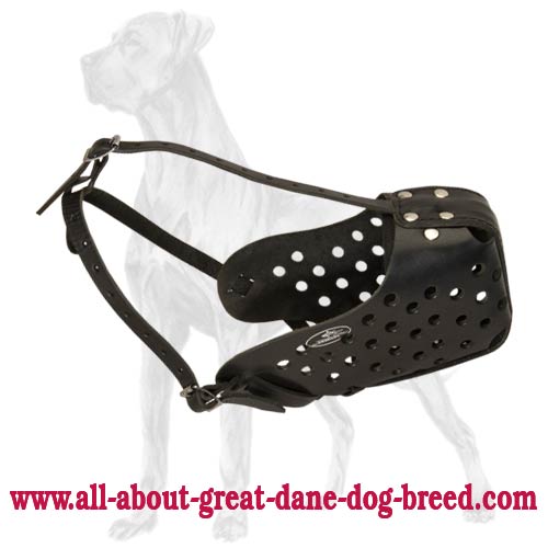 Leather Dog Muzzle for Great Dane