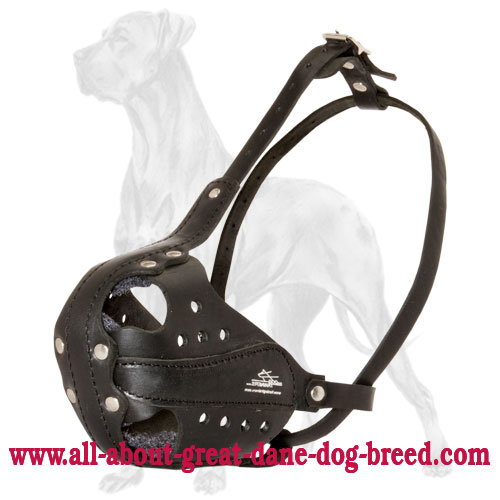 Leather Great Dane Leather Muzzle for Attack Training and Working