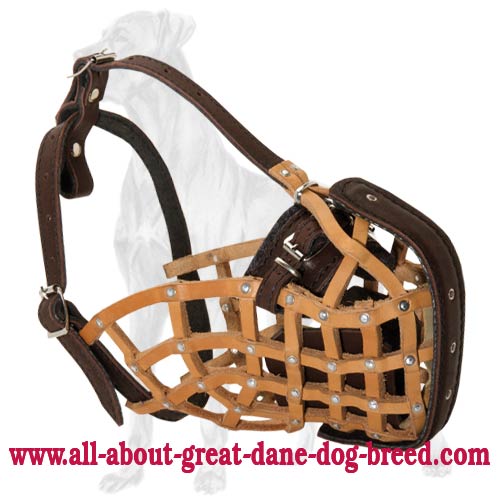 Strong Leather Muzzle for Great Dane