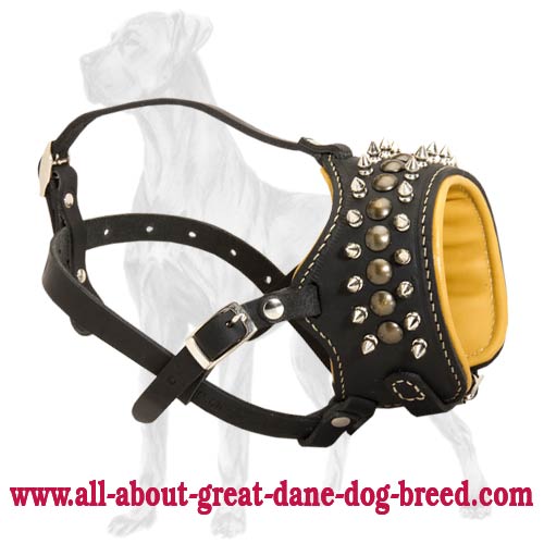 Royal Spiked Anti-Barking Leather Dog Muzzle Padded with Nappa