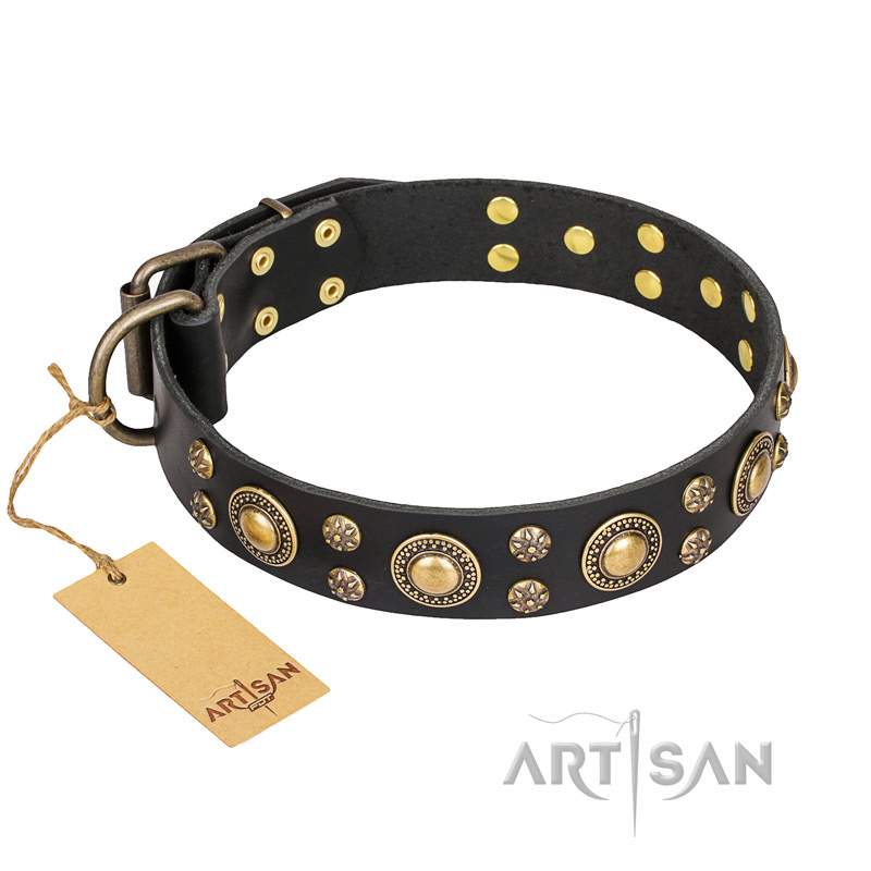 'Baroque Chic' FDT Artisan Studded Black Leather Dog Collar for Walking with Great Dane