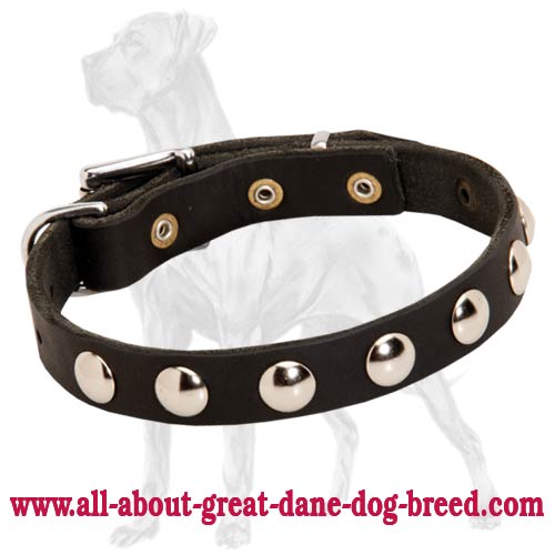 Great Dane Decorated Leather Collar | Half-Ball Studs