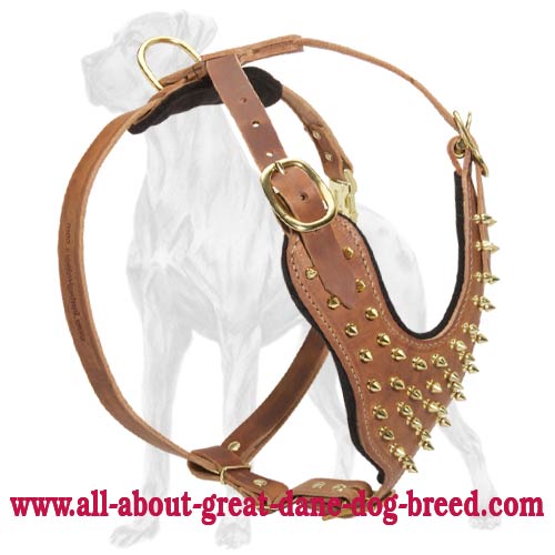 Durable Brass Spiked Leather Great Dane Harness | Y-shaped Chest Plate