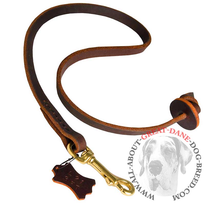 Pocket Leather Leash for Easy Great Dane Control