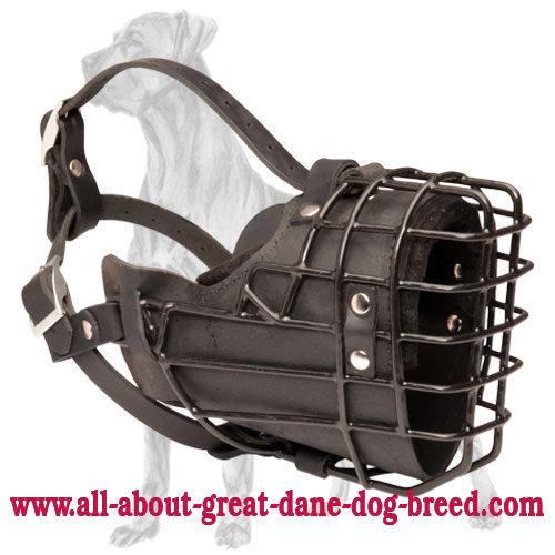 Exclusive Wire Cage Great Dane Muzzle | Rubber Covered
