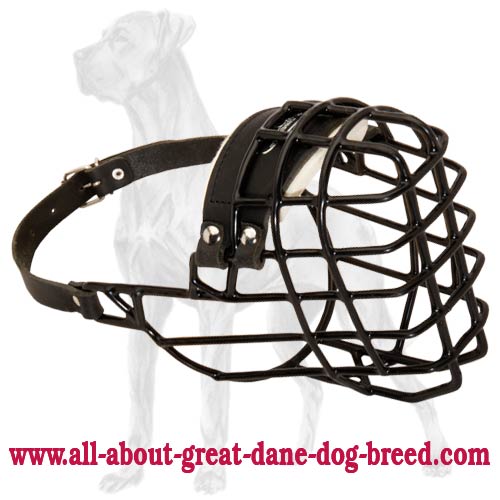 Great Dane Wire Dog Muzzle For Winter Training and Walking