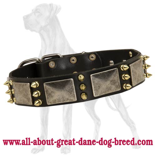 Handcrafted Great Dane Spiked Leather Collar | Nickel Massive Plates