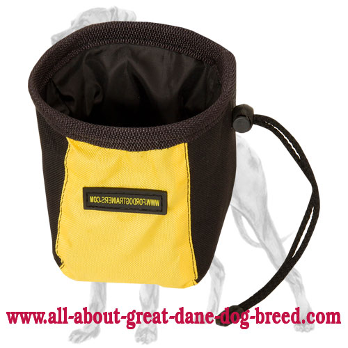 Fast Reward Great Dane Bag Made of Nylon