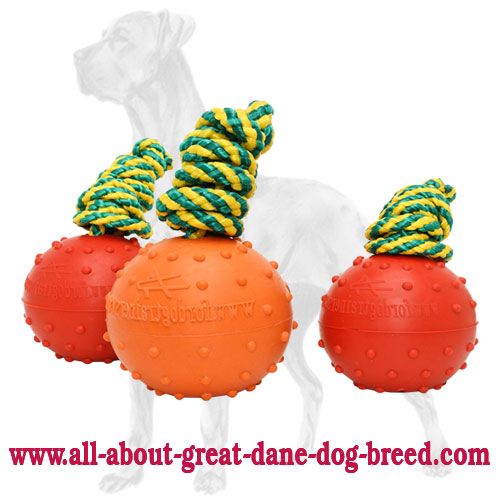 Dotted Rubber Great Dane Ball for Training - Medium