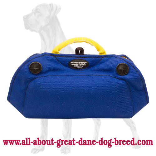 French Linen Great Dane Bite Builder for Basic Puppy Training