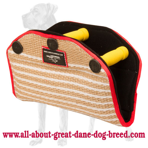 Puppy Jute Great Dane Bite Builder with 3 Handles