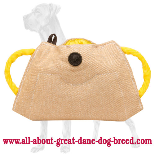 Great Dane Puppy and Young Dog Bite Builder of Jute