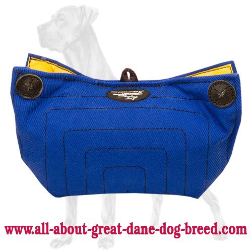 Puppy French Linen Bite Builder for Great Dane