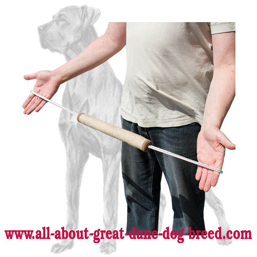 Quality Rolled Jute Tugs with 2 Handles for Great Dane Puppy Training - Click Image to Close