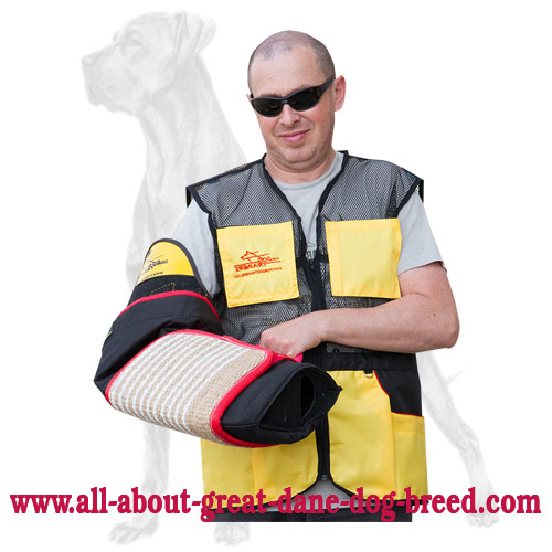 Super Lightweight Great Dane Bite Sleeve for Intermediate Training